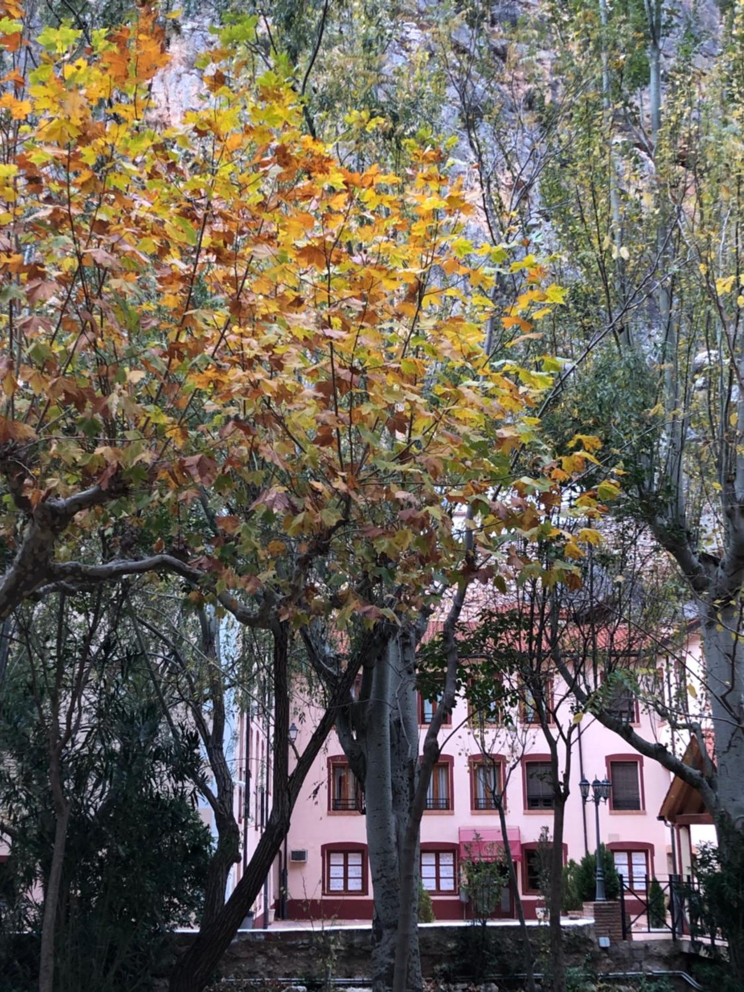 Hotel Balneario De La Virgen Jaraba Zewnętrze zdjęcie